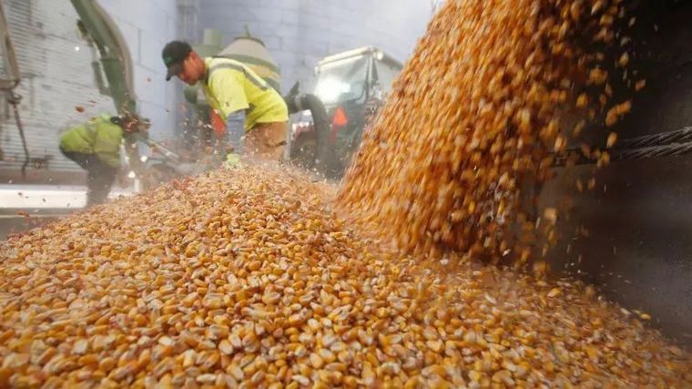 FOTO: Alertas en el sector exportador de granos y subproductos por las protestas.