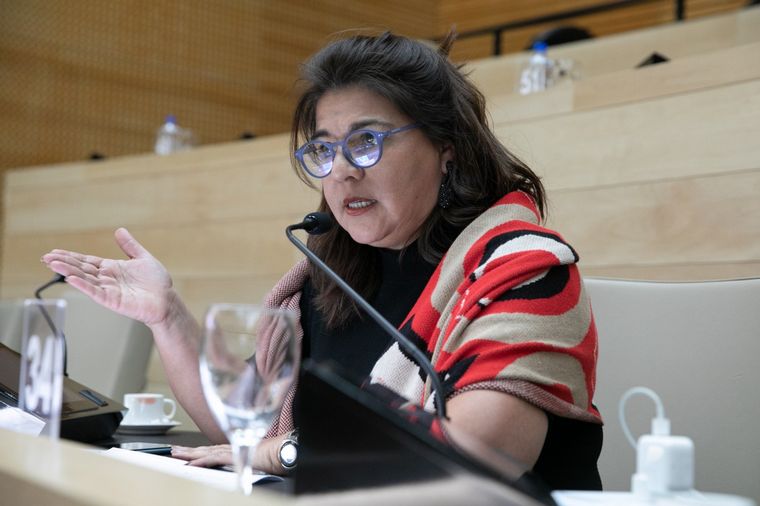 FOTO: La legisladora provincial, Nadia Fernández haciendo su intervención durante el debate