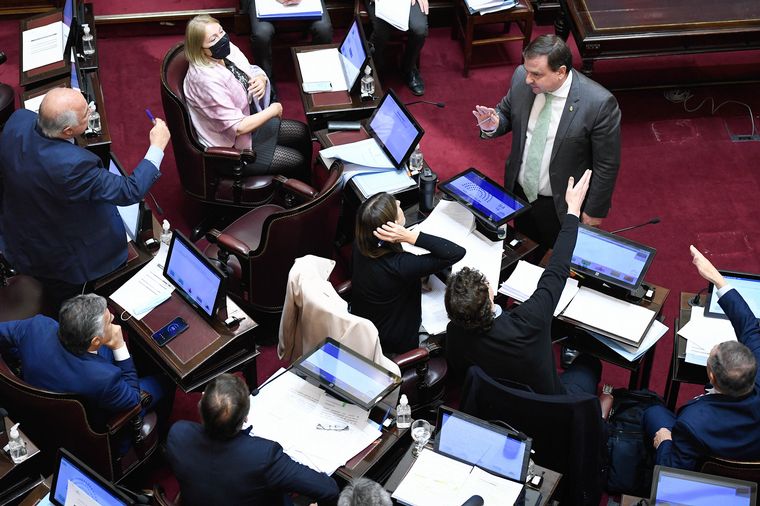 FOTO: Tensión en el Senado por la visita de Alberto a Milagro Sala.