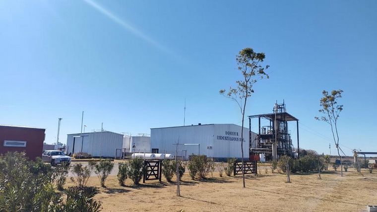 30 empleos directos. La planta Doble L tiene un impacto directo en Sa Pereyra.