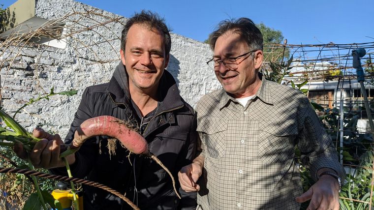 Cómo hacer una huerta en casa, paso a paso: capítulo 5