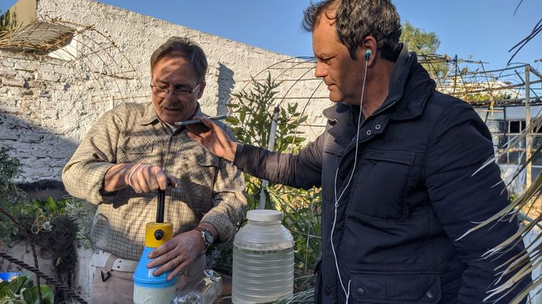 Cómo hacer una huerta en casa, paso a paso: capítulo 5