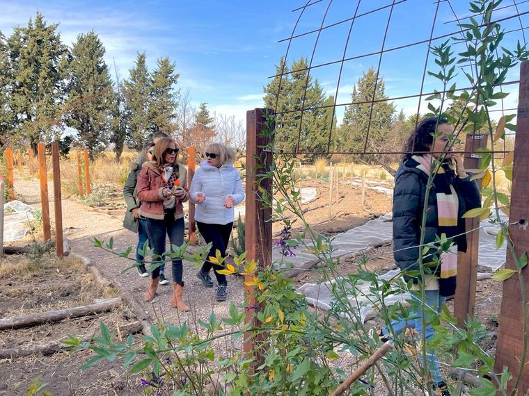 Iliana Calabró, en Casa Semilla.