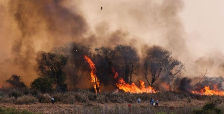 FOTO: Los incendios siguen azotando a los humedales y Rosario podría volver a respirar humo