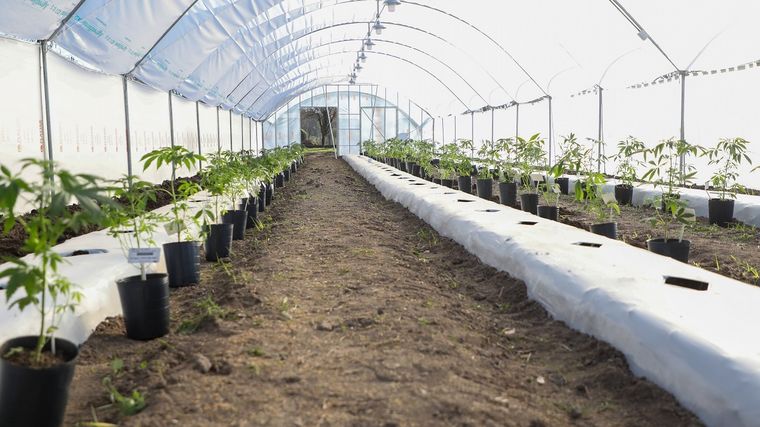 Para Sonia Martorano “es el Estado escuchando lo que le pasa a la gente”.