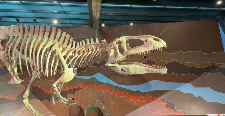 Sofía Pachano y Cadena 3 recorrieron la Plaza Cielo Tierra.