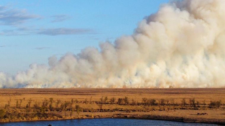 El fiscal Kishimoto aseguró que separó las causa de los incendios en las islas. 