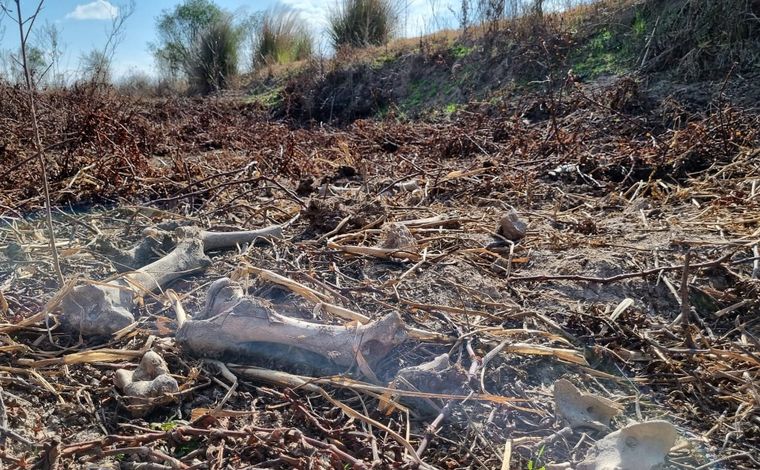 Las impactantes imágenes desde las islas tras días de fuego