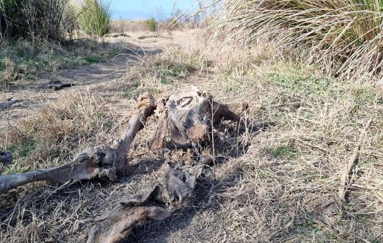 Las impactantes imágenes desde las islas tras días de fuego