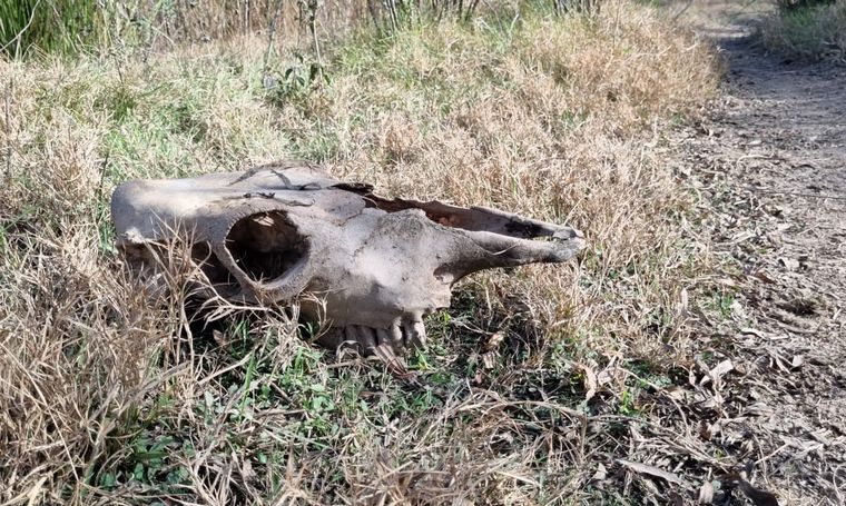 Las impactantes imágenes desde las islas tras días de fuego