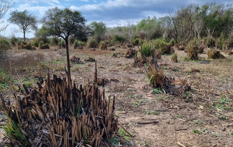 Las impactantes imágenes desde las islas tras días de fuego