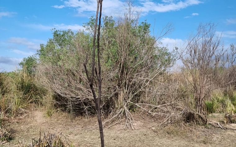 Las impactantes imágenes desde las islas tras días de fuego