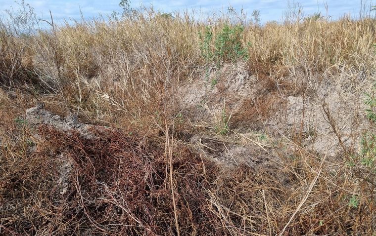 Las impactantes imágenes desde las islas tras días de fuego