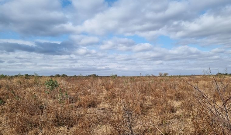 Las impactantes imágenes desde las islas tras días de fuego