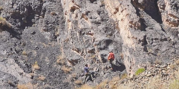 FOTO: Descubrieron miles de huellas de dinosaurios en un pueblo al norte de Chile.