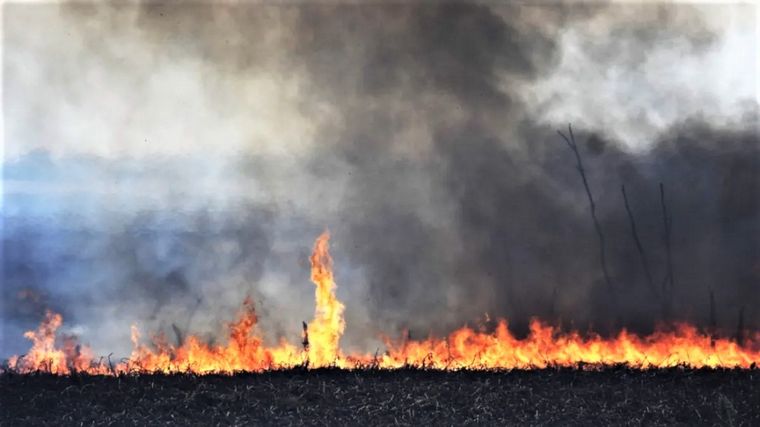 FOTO: Fuego en las islas del Delta del Paraná. (Archivo)