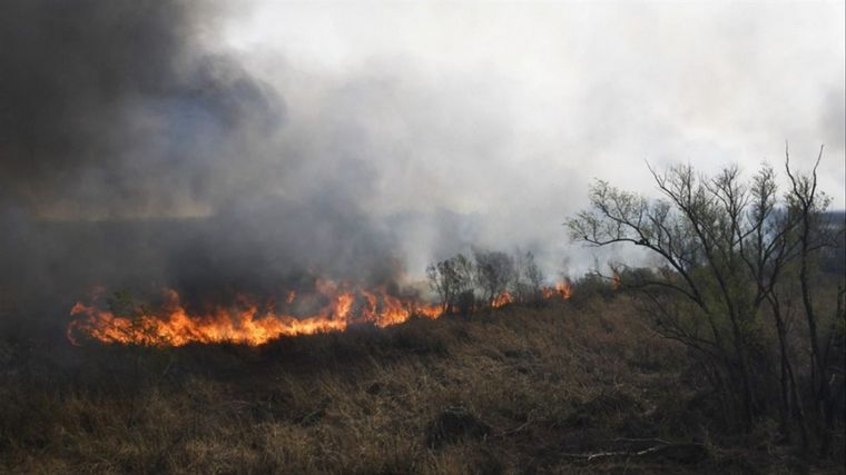 FOTO: La secretaria de Ambiente de Entre Ríos dijo “seguimos corriendo detrás del fuego
