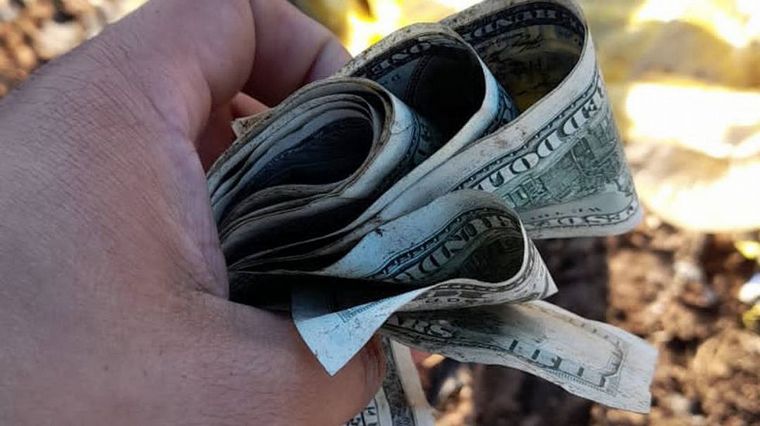 Mitos y misterios sobre los dólares que aparecieron en el basural de Las Parejas.
