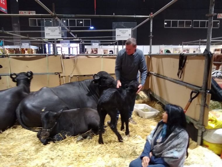 Josefina, la bucerrita mediterránea que es furor en la Rural.