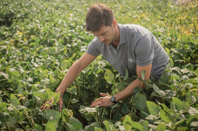 FOTO: NK suma variedades de soja y tecnología para manejar malezas