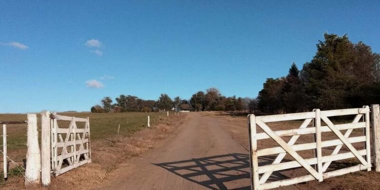 Los ladrones escaparon, pero antes dejaron las cabezas de los animales colgadas.