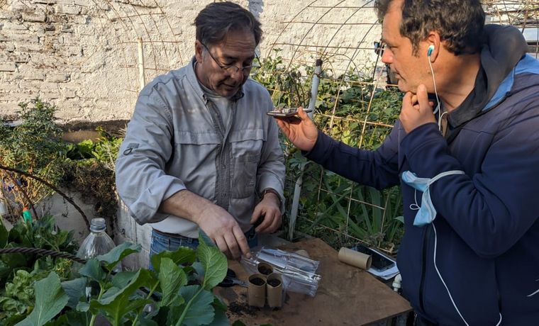 Cómo hacer una huerta en casa, paso a paso: capítulo 6.