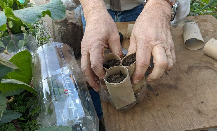 Cómo hacer una huerta en casa, paso a paso: capítulo 6.