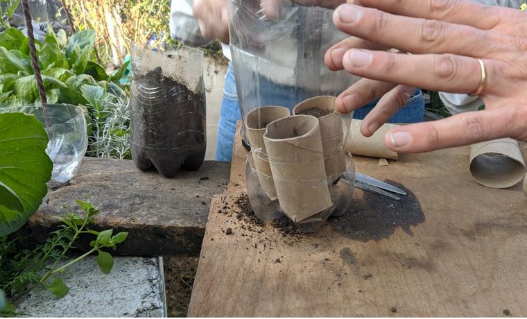 Cómo hacer una huerta en casa, paso a paso: capítulo 6.