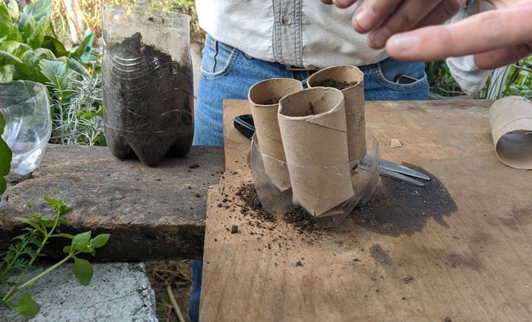 Cómo hacer una huerta en casa, paso a paso: capítulo 6.