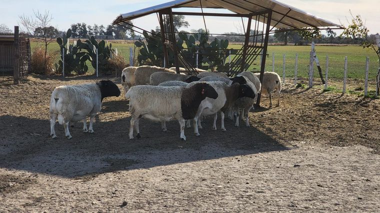 Una aventura rural y a caballo en Miramar de Ansenuza