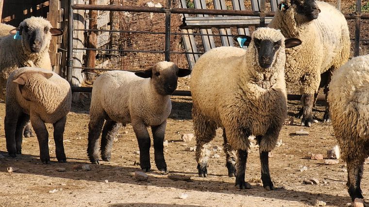 Una aventura rural y a caballo en Miramar de Ansenuza