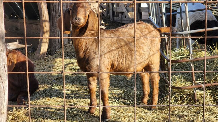 Una aventura rural y a caballo en Miramar de Ansenuza