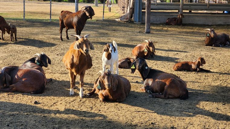 Una aventura rural y a caballo en Miramar de Ansenuza