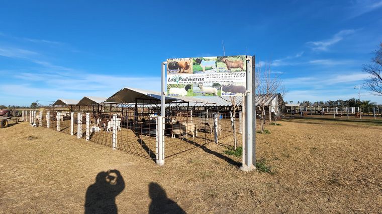 Una aventura rural y a caballo en Miramar de Ansenuza