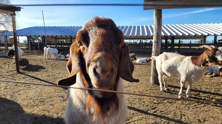 Una aventura rural y a caballo en Miramar de Ansenuza