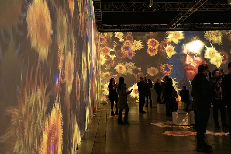 La muestra estará disponible hasta el 20 de agosto