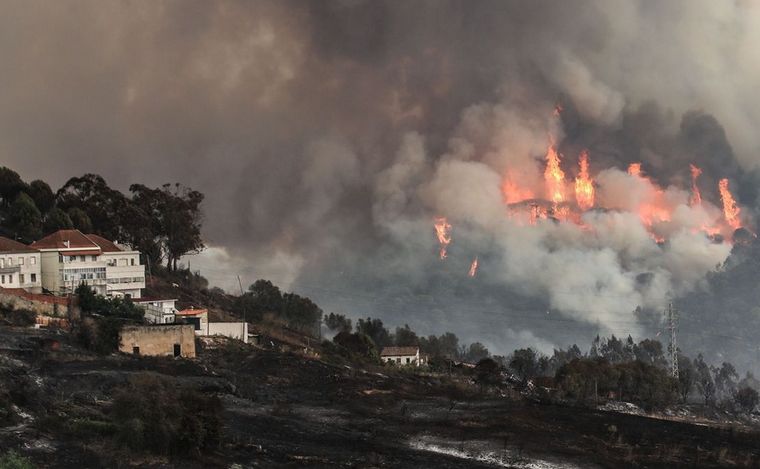 Europa vive un profundo cambio climático que se refleja en distintos fenómenos.