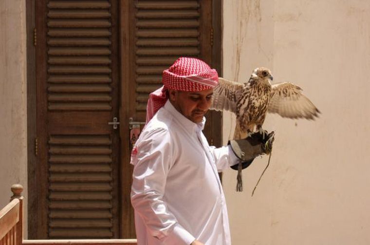 FOTO: El halcón es un símbolo de valor en el mundo árabe.