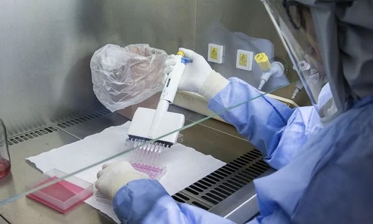 Confirmaron el segundo caso de Viruela Símica en Rosario.