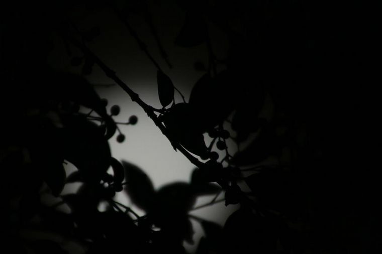 Esta noche se puede ver la 