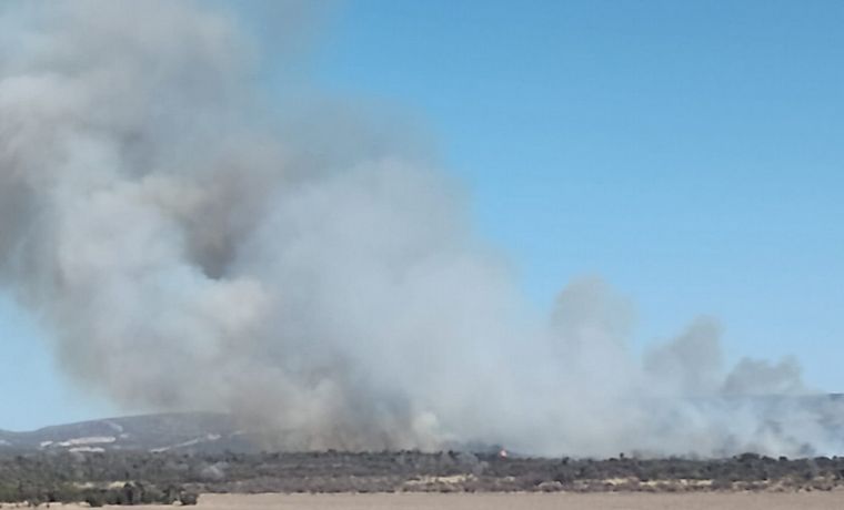 FOTO: Controlaron un incendio forestal en las sierras de Córdoba.