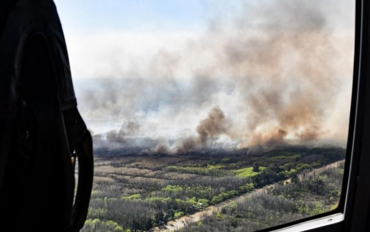 Los incendios en el Delta del Paraná ya arrasaron casi 100 mil hectáreas.