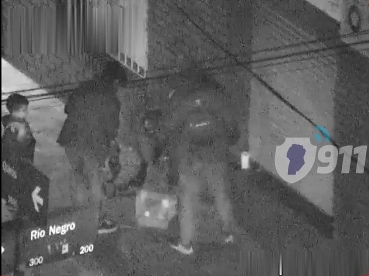 Junto a sus hijos robaron tres loros australianos de una veterinaria en Córdoba