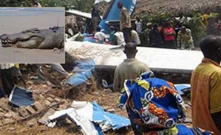 FOTO: Un cocodrilo escondido en un avión mata a 19 personas en un vuelo en el Congo