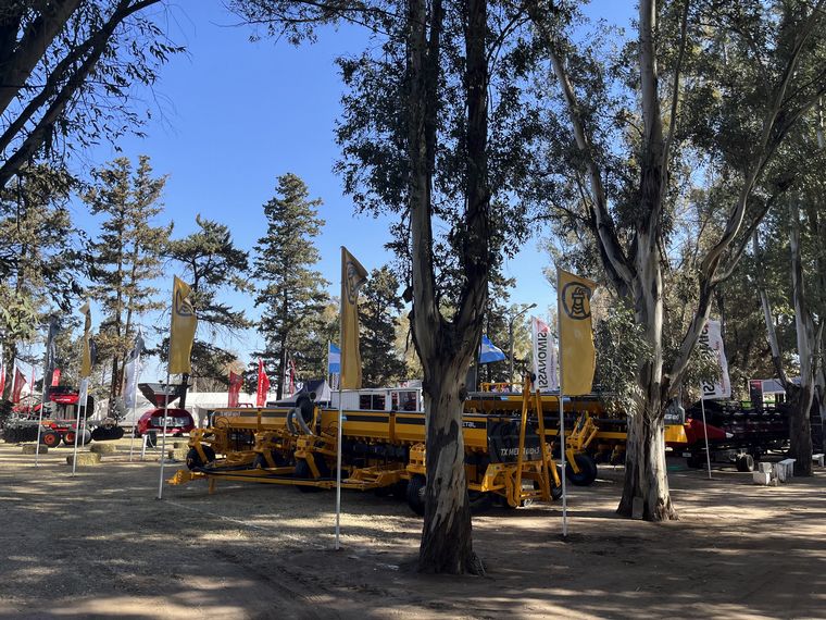 Los fierros conviviendo con  la reparadora sombra de los árboles en el predio ferial