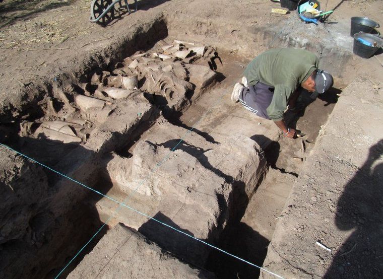 Especialistas trabajan en excavaciones.