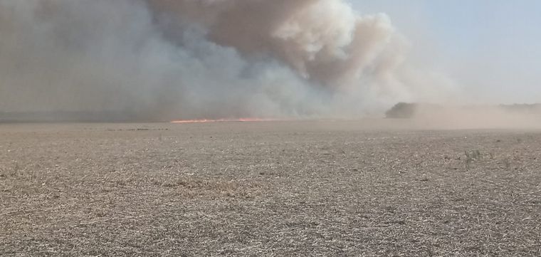 Incendio de campos en Altos Fierro.
