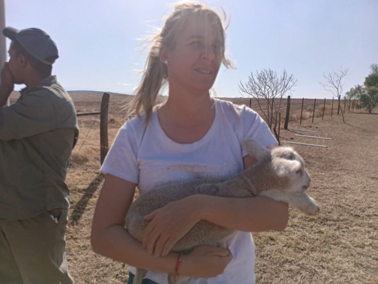 Incendio en Despeñaderos.