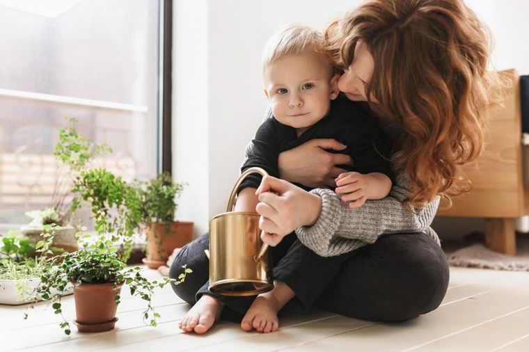 Se pueden incluir flores y plantas entre los elementos decorativos (Freepik/Edisur)