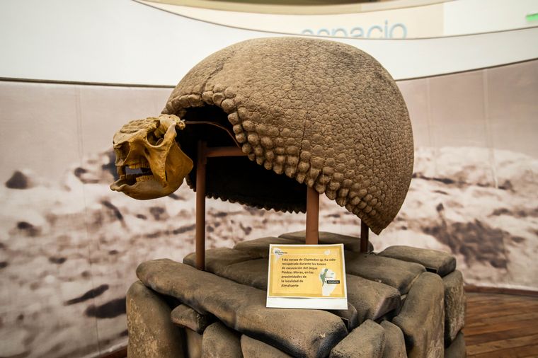 Museo de Ciencias Naturales